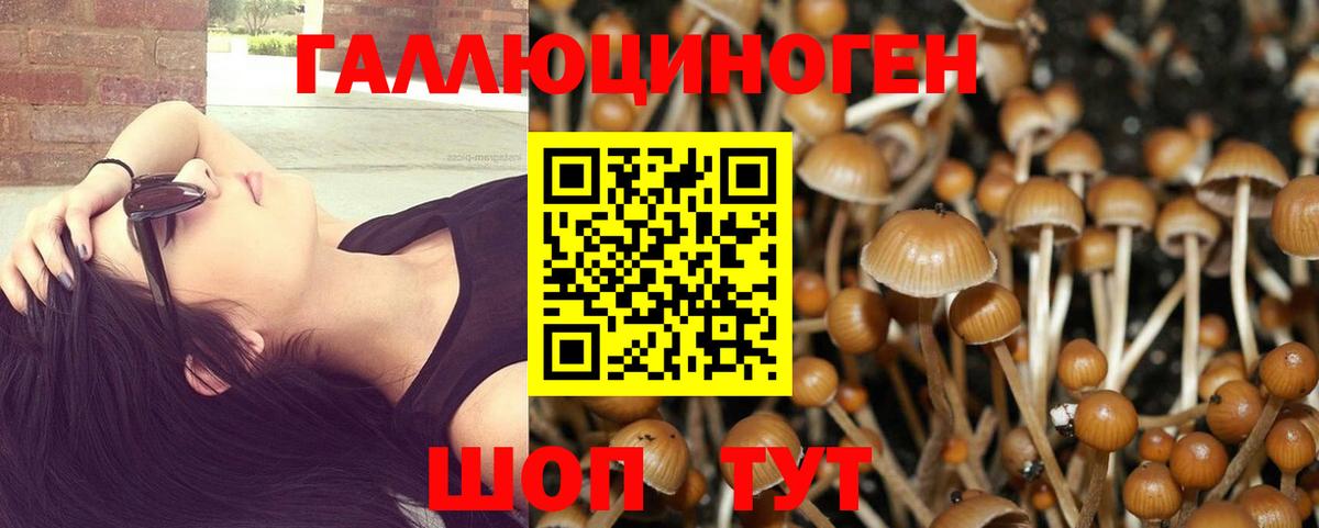 Псилоцибиновые грибы MAGIC MUSHROOMS Полысаево